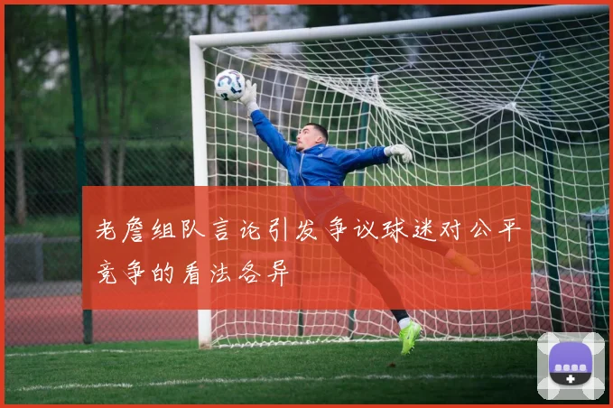 老詹组队言论引发争议球迷对公平竞争的看法各异