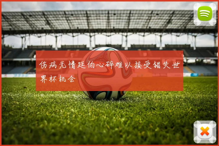 伤病无情廷伯心碎难以接受错失世界杯机会